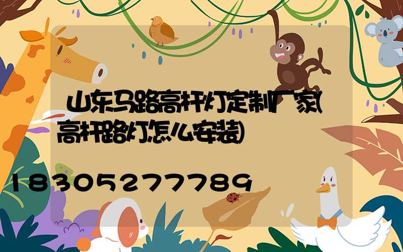 山东马路高杆灯定制厂家(高杆路灯怎么安装)