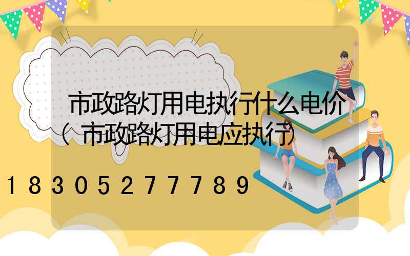 市政路灯用电执行什么电价(市政路灯用电应执行)