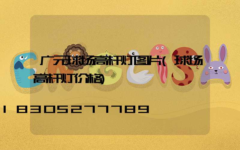 广元球场高杆灯图片(球场高杆灯价格)