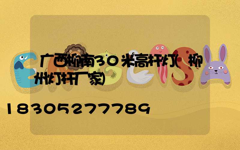 广西柳南30米高杆灯(柳州灯杆厂家)