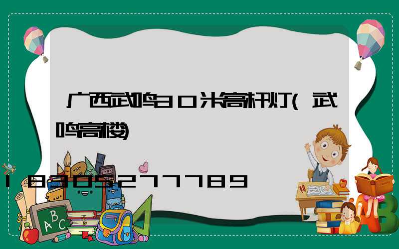 广西武鸣30米高杆灯(武鸣高楼)