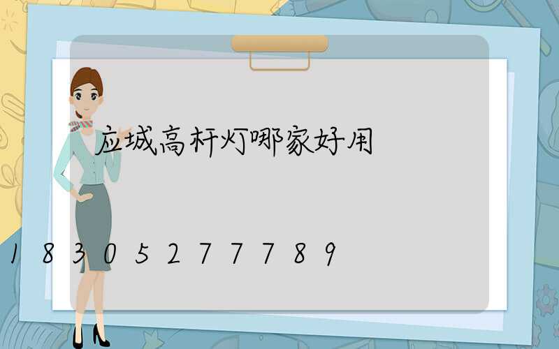 应城高杆灯哪家好用