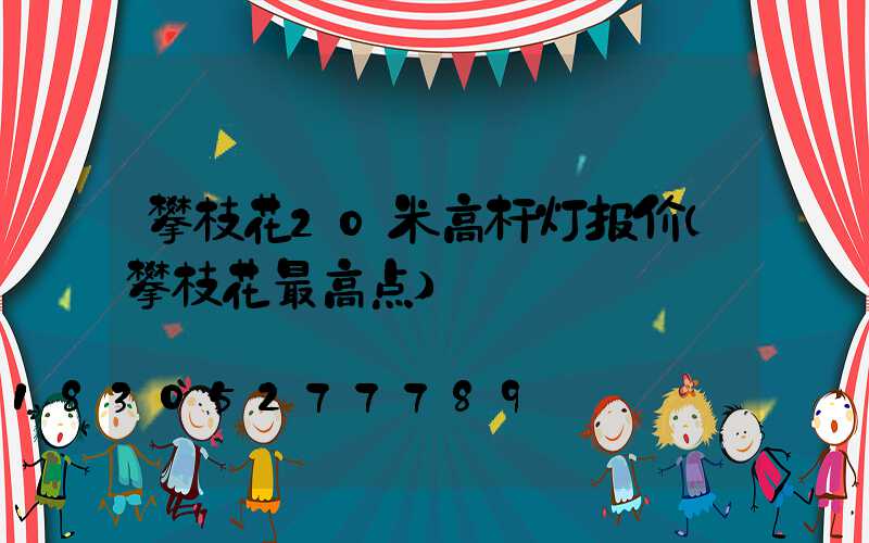 攀枝花20米高杆灯报价(攀枝花最高点)