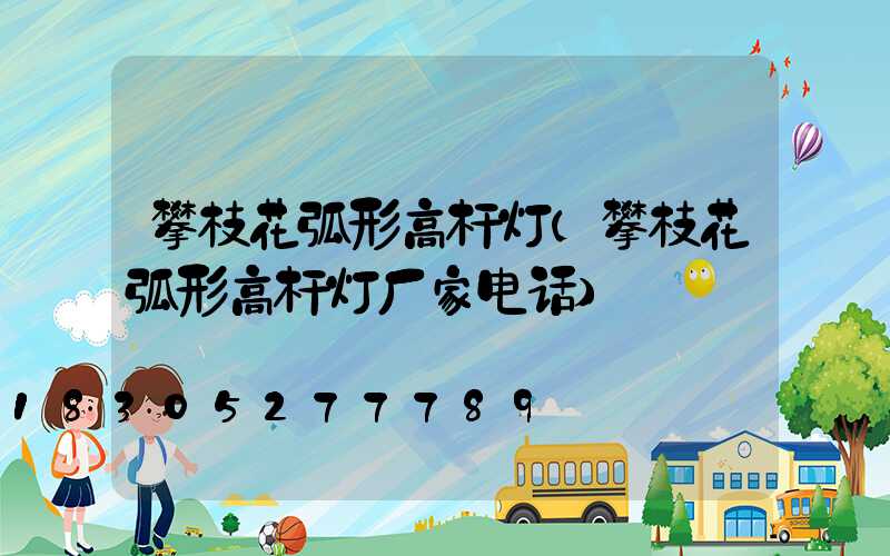 攀枝花弧形高杆灯(攀枝花弧形高杆灯厂家电话)