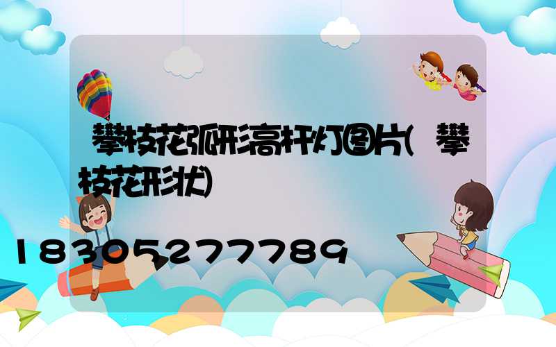 攀枝花弧形高杆灯图片(攀枝花形状)
