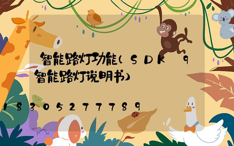 智能路灯功能(SDK—9智能路灯说明书)