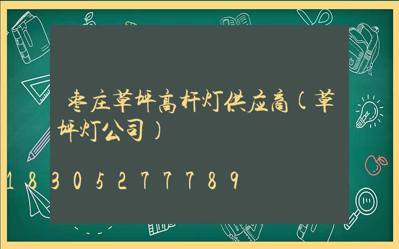 枣庄草坪高杆灯供应商(草坪灯公司)