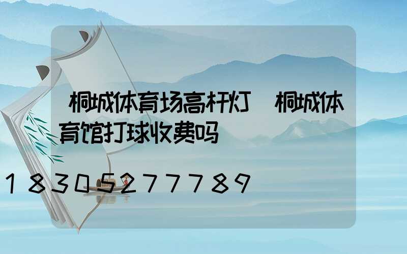 桐城体育场高杆灯(桐城体育馆打球收费吗)