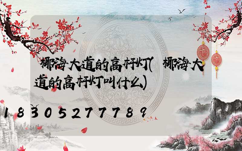 椰海大道的高杆灯(椰海大道的高杆灯叫什么)