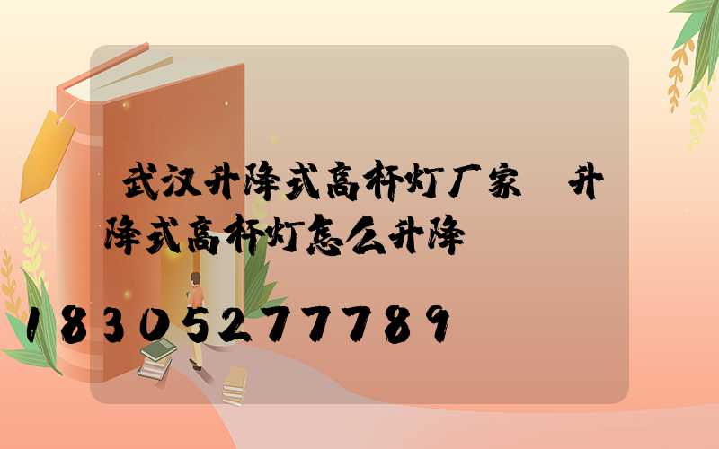 武汉升降式高杆灯厂家(升降式高杆灯怎么升降)