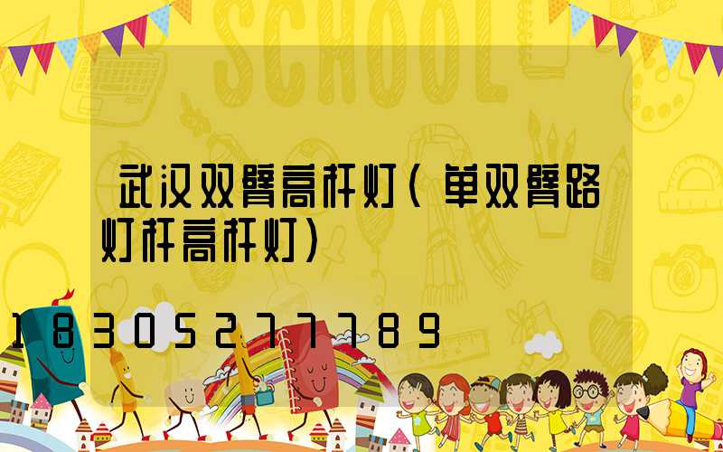 武汉双臂高杆灯(单双臂路灯杆高杆灯)