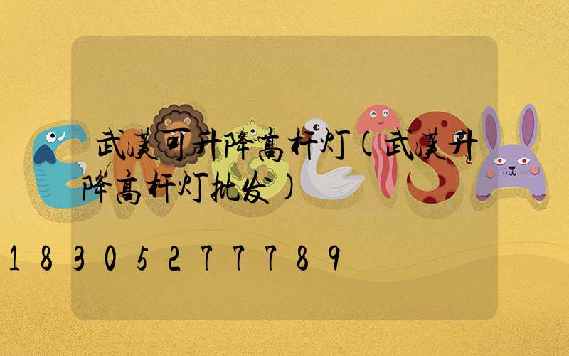 武汉可升降高杆灯(武汉升降高杆灯批发)