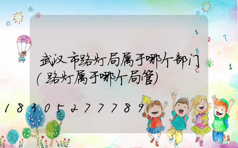武汉市路灯局属于哪个部门(路灯属于哪个局管)
