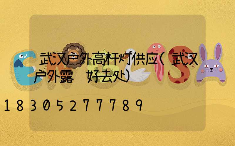 武汉户外高杆灯供应(武汉户外露营好去处)