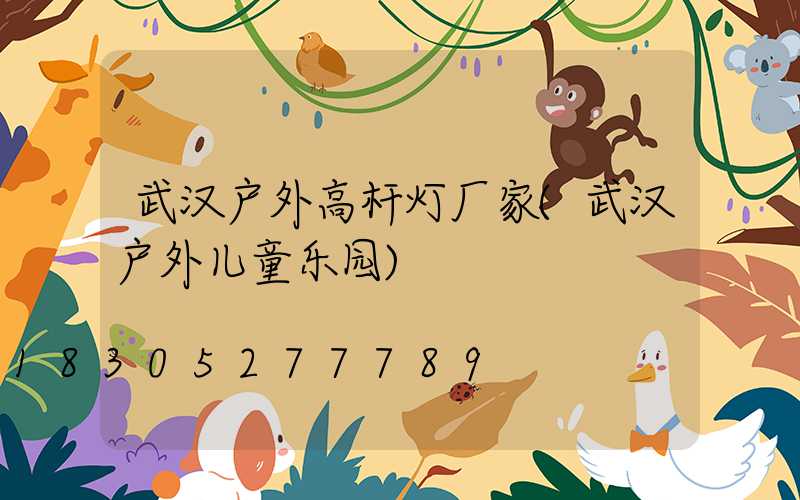 武汉户外高杆灯厂家(武汉户外儿童乐园)