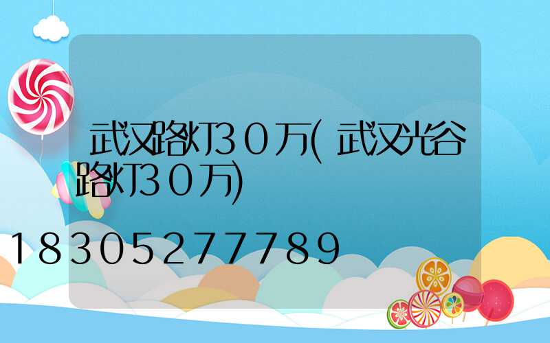 武汉路灯30万(武汉光谷路灯30万)