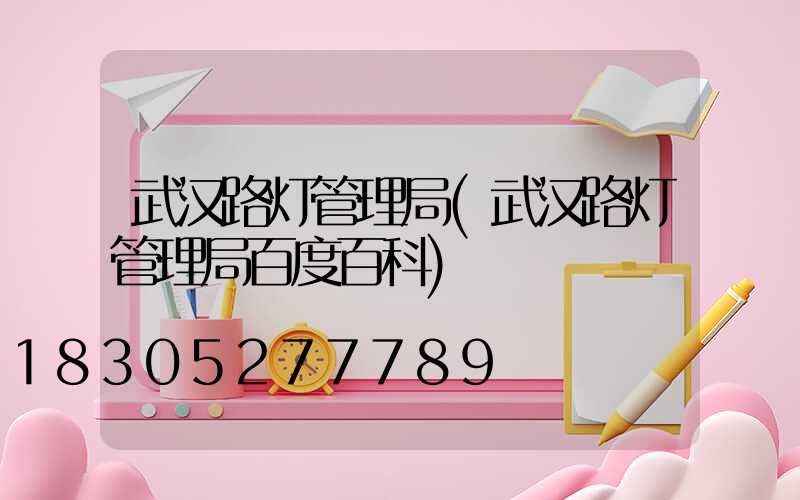 武汉路灯管理局(武汉路灯管理局百度百科)
