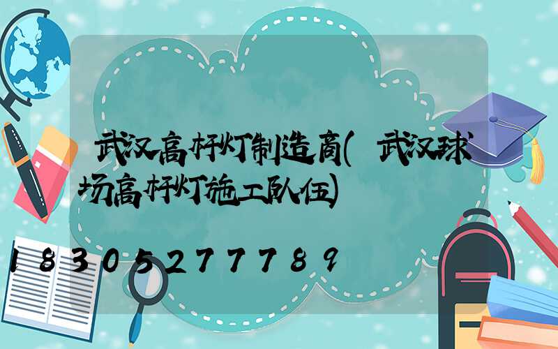武汉高杆灯制造商(武汉球场高杆灯施工队伍)