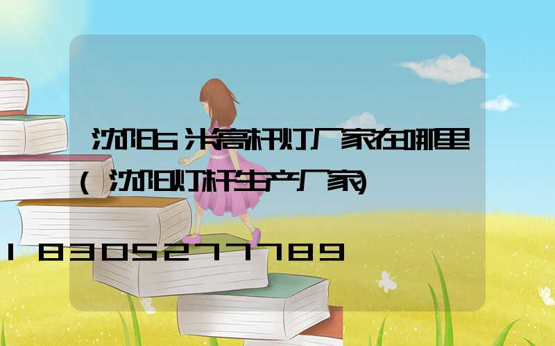 沈阳6米高杆灯厂家在哪里(沈阳灯杆生产厂家)