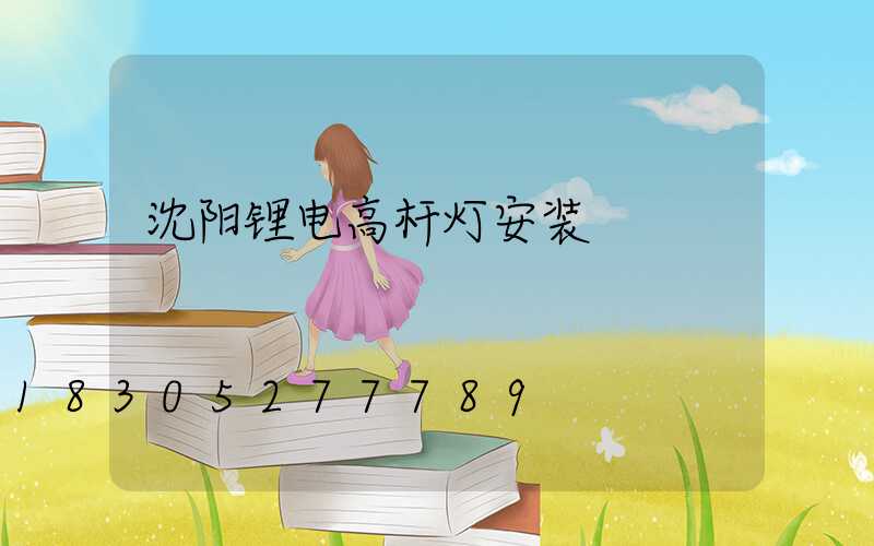 沈阳锂电高杆灯安装