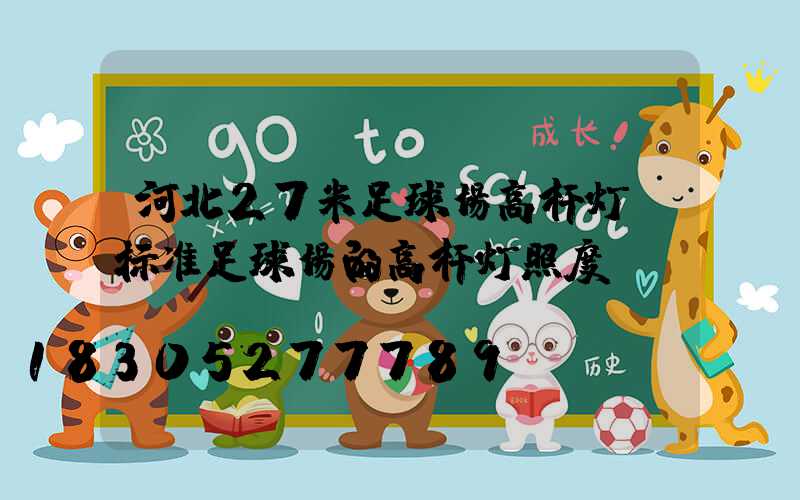 河北27米足球场高杆灯(标准足球场的高杆灯照度)