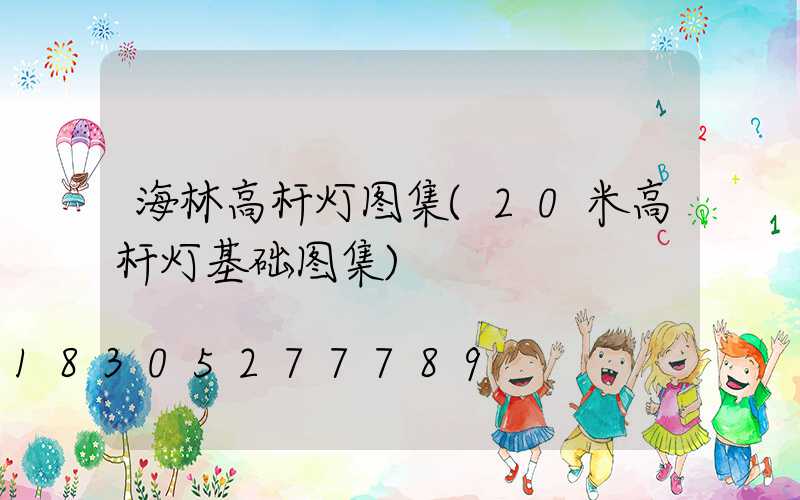 海林高杆灯图集(20米高杆灯基础图集)