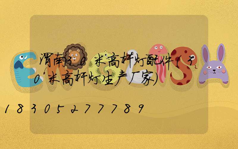 渭南30米高杆灯配件(30米高杆灯生产厂家)
