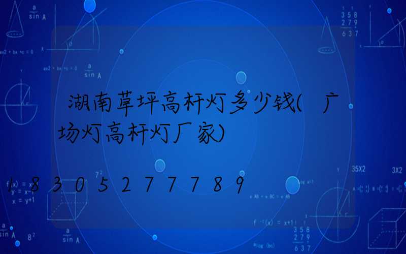 湖南草坪高杆灯多少钱(广场灯高杆灯厂家)