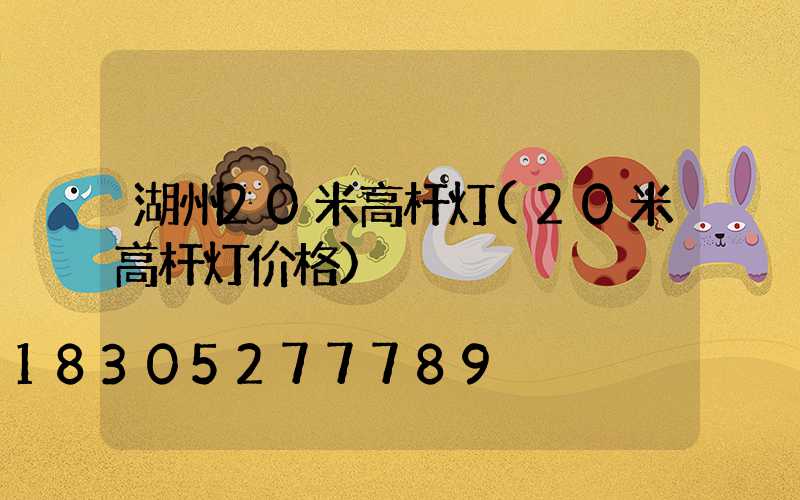 湖州20米高杆灯(20米高杆灯价格)