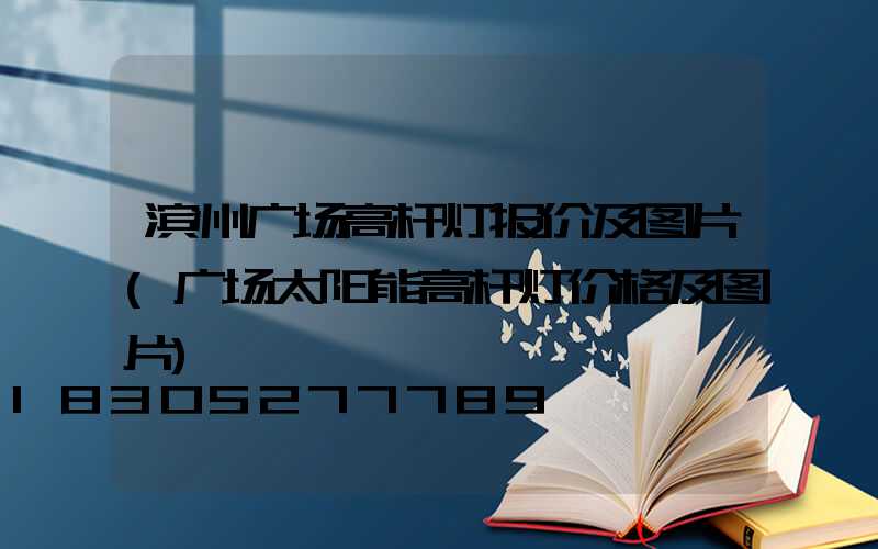 滨州广场高杆灯报价及图片(广场太阳能高杆灯价格及图片)