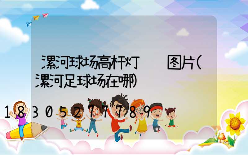 漯河球场高杆灯设计图片(漯河足球场在哪)