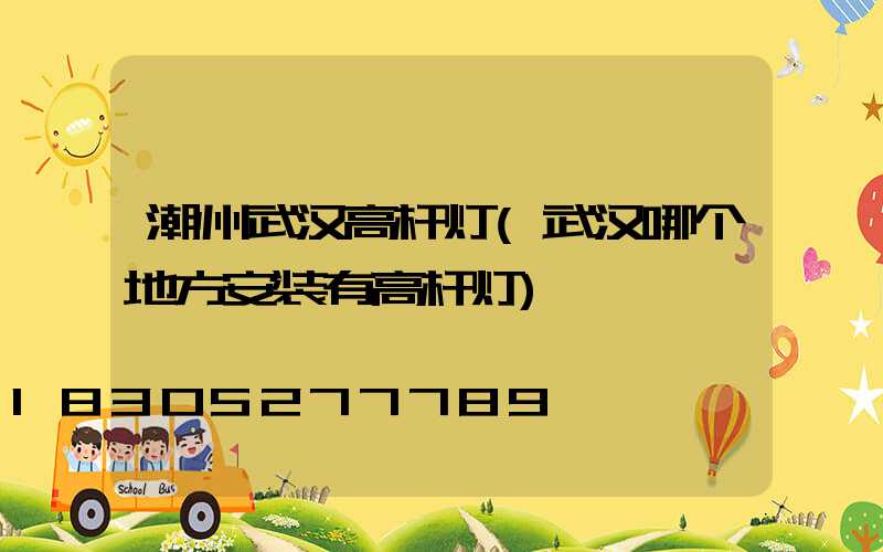 潮州武汉高杆灯(武汉哪个地方安装有高杆灯)