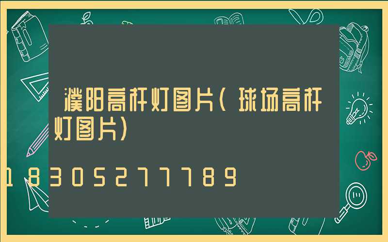 濮阳高杆灯图片(球场高杆灯图片)