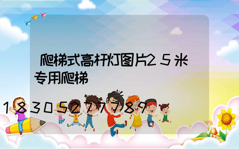 爬梯式高杆灯图片25米(专用爬梯)