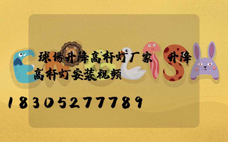 球场升降高杆灯厂家(升降高杆灯安装视频)