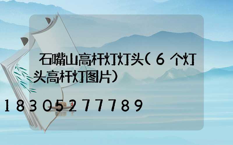 石嘴山高杆灯灯头(6个灯头高杆灯图片)