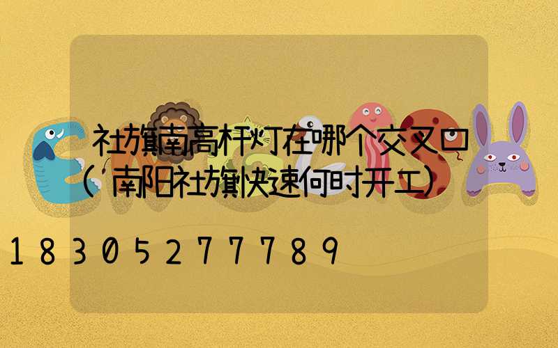 社旗南高杆灯在哪个交叉口(南阳社旗快速何时开工)