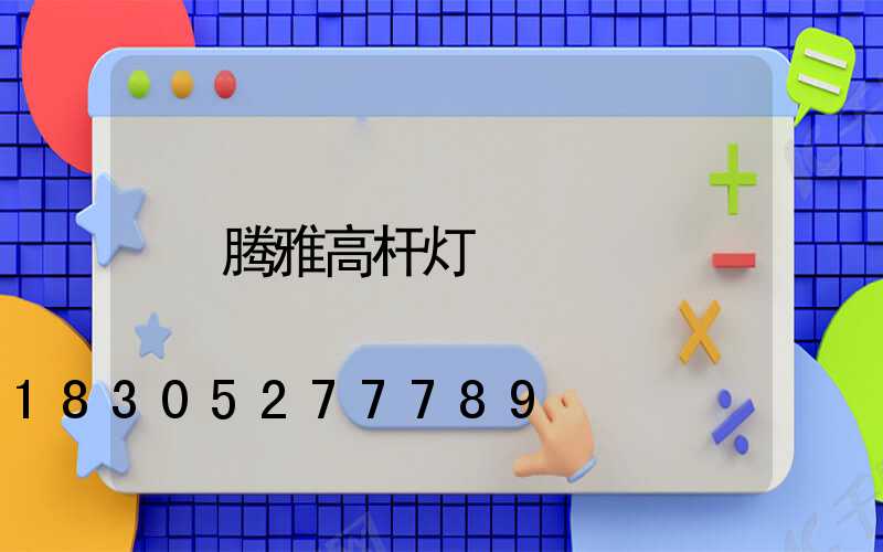 腾雅高杆灯
