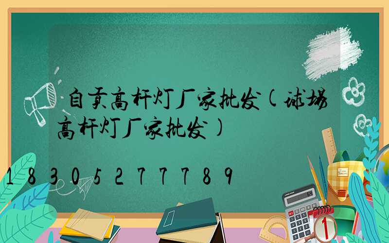 自贡高杆灯厂家批发(球场高杆灯厂家批发)