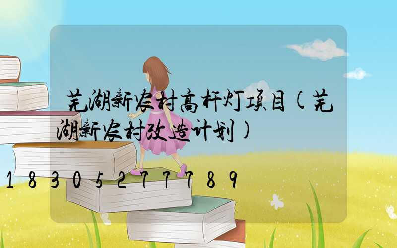 芜湖新农村高杆灯项目(芜湖新农村改造计划)