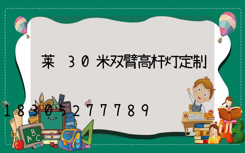 莱芜30米双臂高杆灯定制