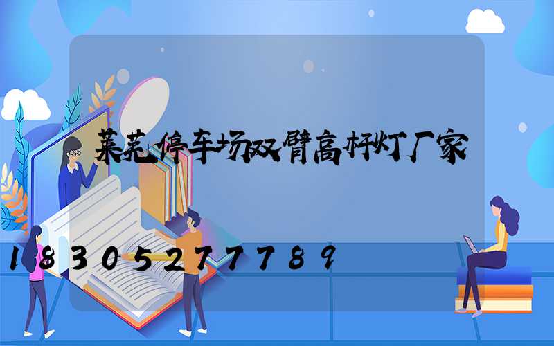 莱芜停车场双臂高杆灯厂家