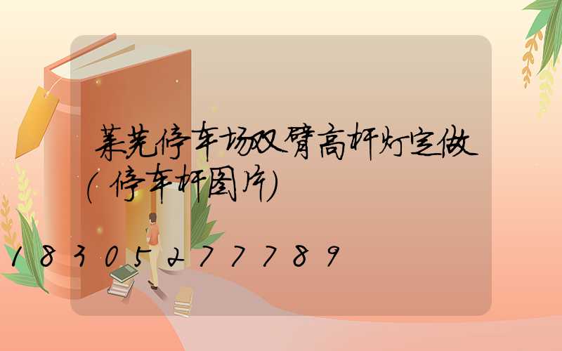 莱芜停车场双臂高杆灯定做(停车杆图片)
