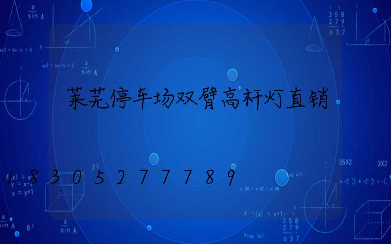 莱芜停车场双臂高杆灯直销