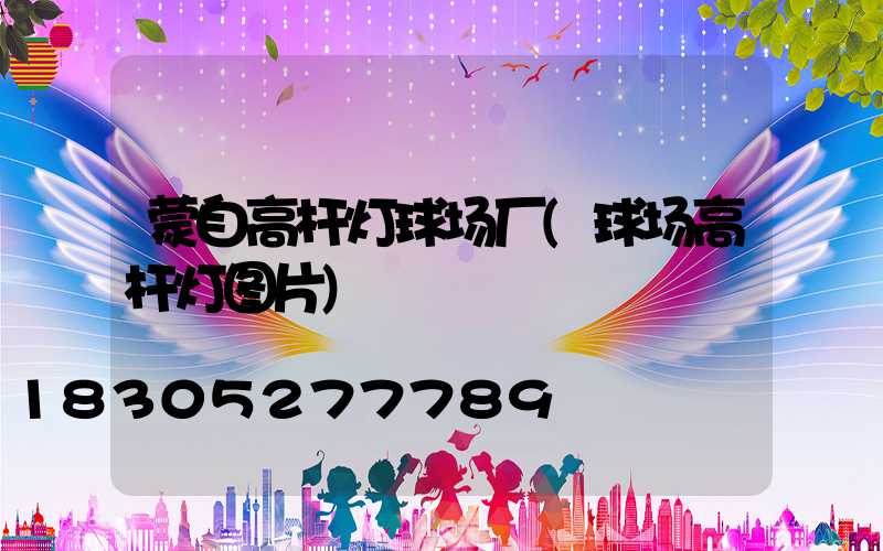 蒙自高杆灯球场厂(球场高杆灯图片)