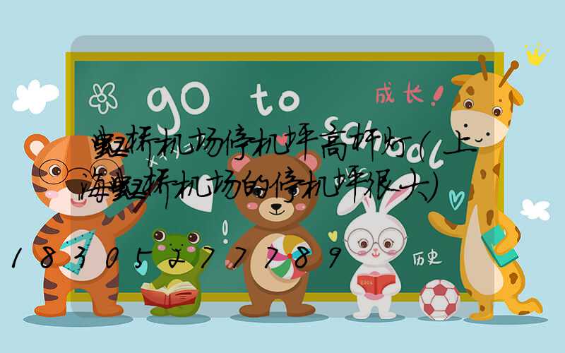 虹桥机场停机坪高杆灯(上海虹桥机场的停机坪很大)