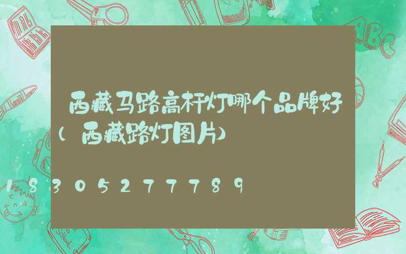 西藏马路高杆灯哪个品牌好(西藏路灯图片)