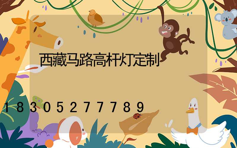 西藏马路高杆灯定制