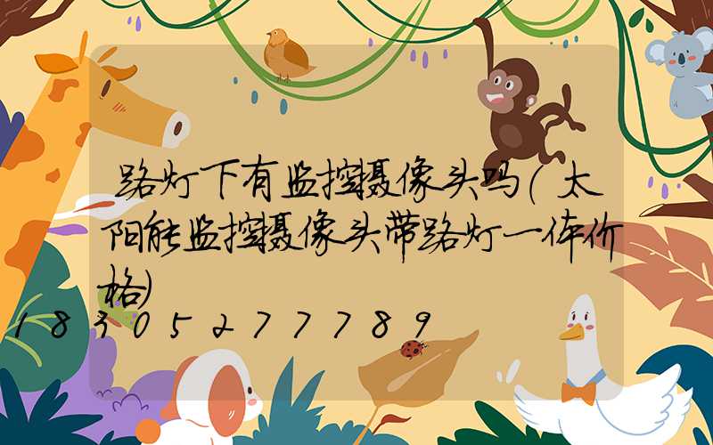路灯下有监控摄像头吗(太阳能监控摄像头带路灯一体价格)