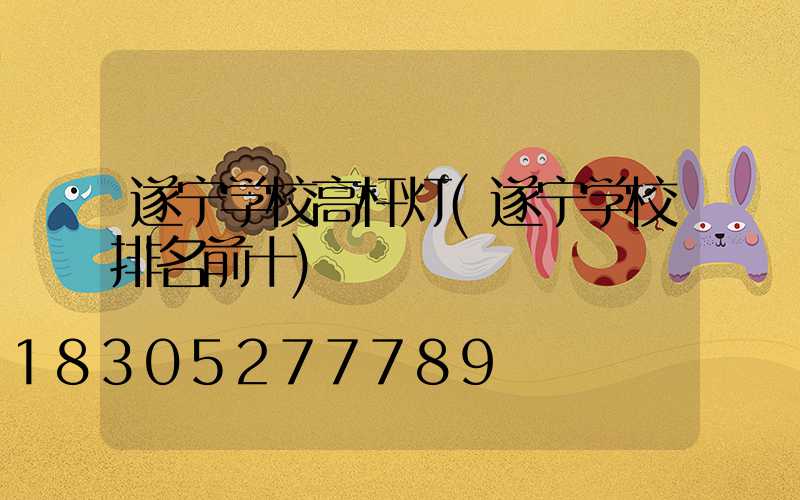 遂宁学校高杆灯(遂宁学校排名前十)